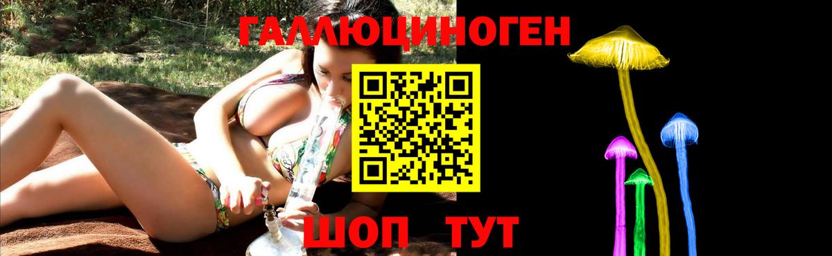 Псилоцибиновые грибы Psilocybine cubensis Топки
